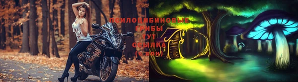 дживик Осинники