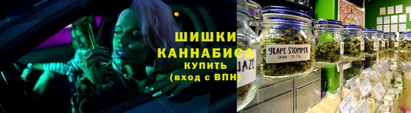PSILOCYBIN Осташков