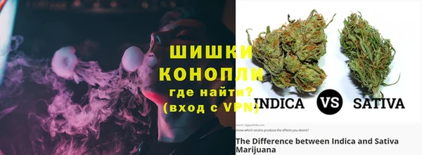 PSILOCYBIN Осташков