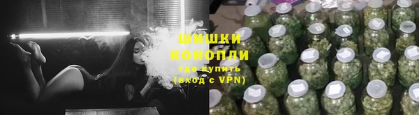 PSILOCYBIN Осташков