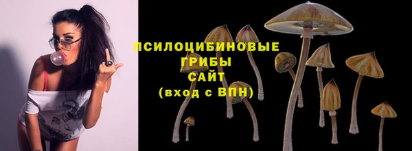 ALPHA PVP Остров
