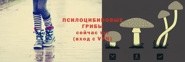 PSILOCYBIN Осташков