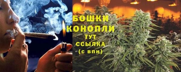 дживик Осинники