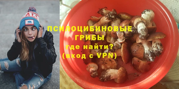 дживик Осинники