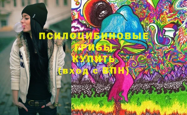 дживик Осинники