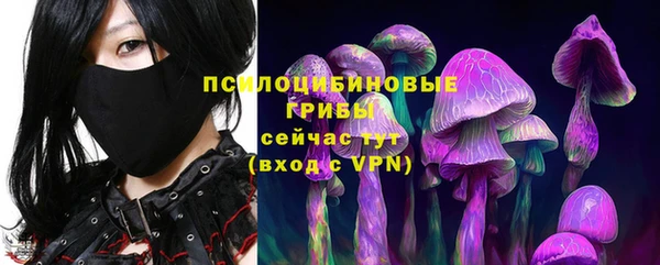 ALPHA PVP Остров