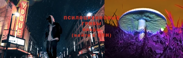 ALPHA PVP Остров