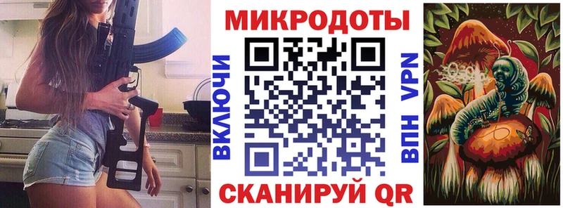 Псилоцибиновые грибы Psilocybine cubensis  Тотьма 