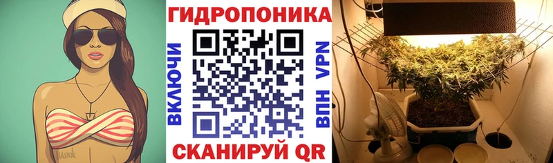 Каннабис White Widow  darknet как зайти  Тотьма  где найти  